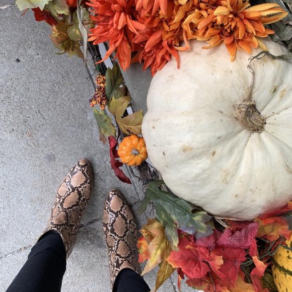 *New Steve Madden size 7 Julianne snake print block booties animal print booties - Picture 2 of 9